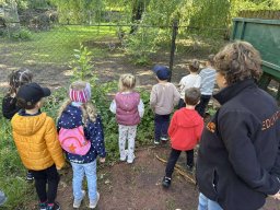 2025-05-20 Biedronki w ZOO